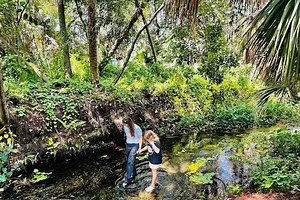 The Real ADHD Issue Lies with Schooling, Not with Students - FEE