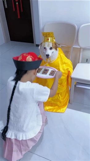 Dog Wedding Gone Wrong 😹 The Bride Is a Cat!❣️🤣 #shorts