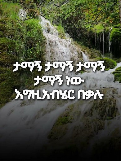 ታማኝ | ፓስተር ታምራት ሃይሌ |pastor Tamirat Haile #mezmur