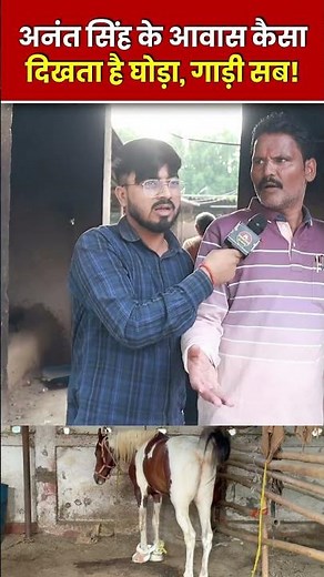 अनंत सिंह बनेंगे मंत्री? 2 करोड़ का घोड़ा, 3 करोड़ की गाड़ी से लेकर घर का पूरा होम टूर #shorts