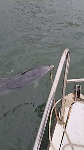 232K views · 3.3K reactions | Incredible!  | Edinburgh Live | Facebook