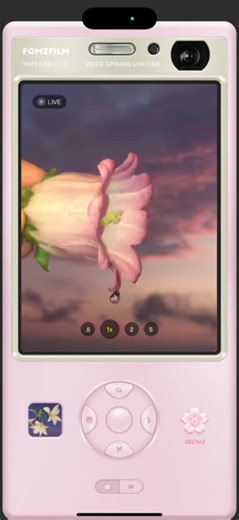 Capturing Aesthetic Vibes with Fomz Cam