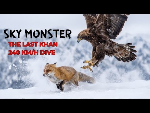 Hunting Wolves with Golden Eagles: The Last Khans of Mongolia