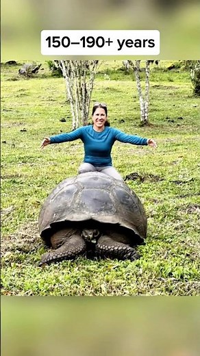 The Longest Living Creatures 😨