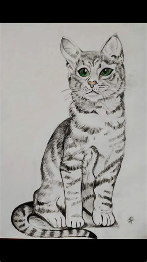 #drawings #pencildrawing #newdrawings #pencilsketch #drawing #shortsfeed #shorts #new #latest #art