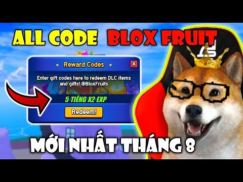 Tổng Hợp Tất Cả CODE X2 Kinh Nghiệm Và Reset Chỉ Số STAT Mới Nhất Tháng 8 Trong Blox Fruit | Roblox