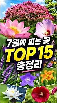 [Flowers of July] A Complete Guide to the Top 15 Flowers That Bloom in July