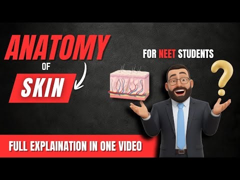 Skin Anatomy & Physiology | Layers (Epidermis & Dermis) + Functions | Made Easy