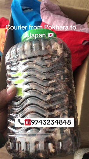 Courier Services from Pokhara to Japan