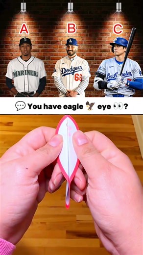 Can You Spot It? 👀⚾ MLB Eagle Eye Challenge!