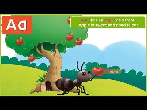 LKG : Learn English Alphabet A to D for Kids