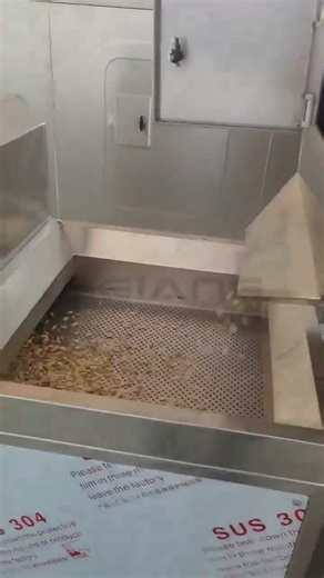 #PumpkinSeed #RoastingMachine #FoodProcessing #ProductionLine #CustomizedSolution