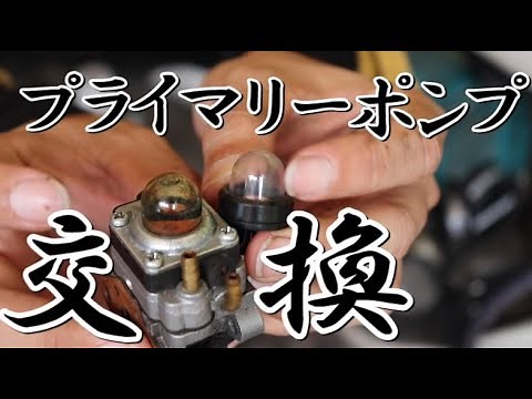 Lawn mower | Primary pump replacement | Can I use the same pump as a chainsaw?