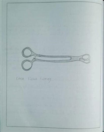Lane Tissue Forceps Instrument. # BSc Nursing For Nursing Students.