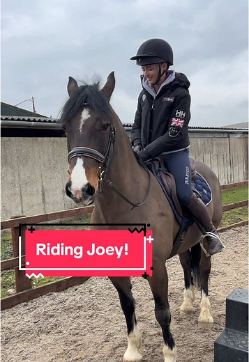 Riding Joey: A Journey with a Sensitive Soul