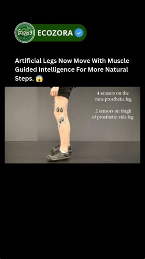 Robotic Legs Learn Natural Human Walking With Smart Algorithms #robotics #science #shorts