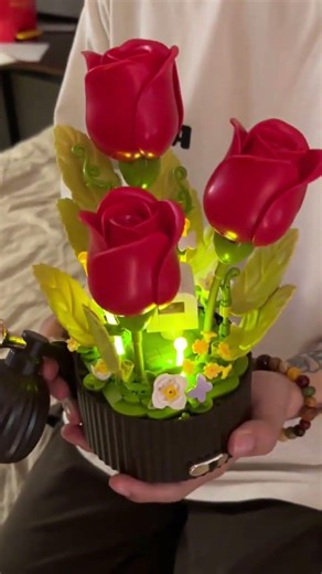 I received a bouquet of roses that will never wither