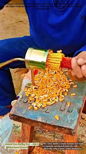 Manual Corn Shelling Tool — Fast & Efficient Kernel Removal