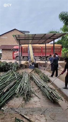 "Bamboo Crushing Machine in Action! 🌿 Fast & Efficient Processing!"
