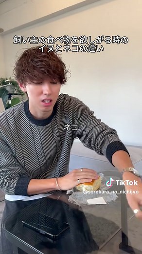 犬と猫の違いと可愛さ #ペット