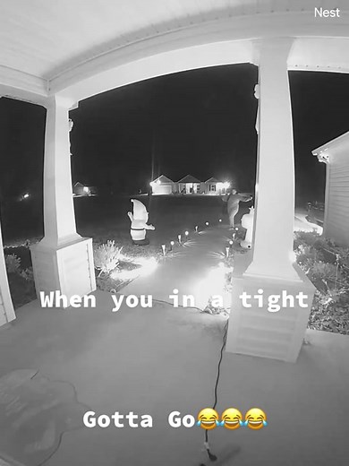 Hilarious Moment of Desperation: When You Gotta Go 😂😂😂