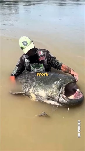 1.6K views · 11 reactions | The Genius Farming Hack That Doubles the Profit | ProfessorKaba | Facebook