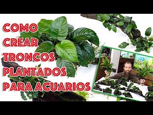 How to create planted logs for aquariums