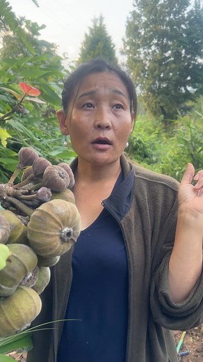 1.1M views · 42K reactions | Benefits of figsare promotes digestive health r.Rich in antioxidants .may supports healthy. Blood pressure, may support one health .may improve diet, quality, and wet management. #highlights | Ruth Nitingal Rai | Facebook