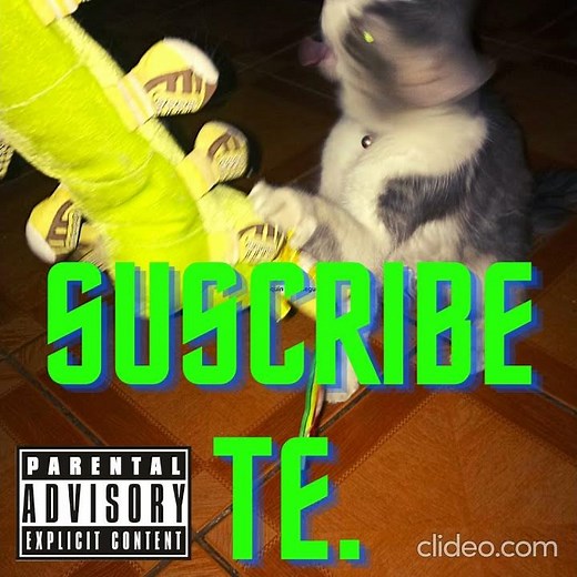 Licencia para wavepad https://www.mediafire.com/file/fcr742slb0hmcr0/WAVEPAD_LICENCIAS_NZK.rar/file