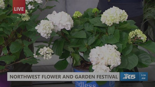 Northwest Flower and Garden Festival begins