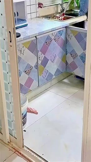 Flexible Grabber Claw Pick Up Reacher Tool (Drain Clog Remove Tool), With 4 Claws Bendable Hose Pickup Reaching Assist Tool for Litter Pick, Home and Kitchen Sink, Drains, Toilet (78.74 inch)