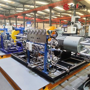 [Hot Item] High Pressure Gas Compressor for Special Gases with Customizable Options