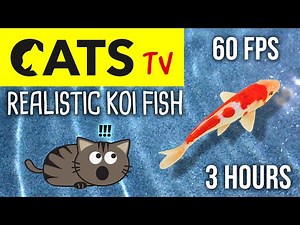 CATS TV - Realistic Fish Game 🐟 60FPS - 3 HOURS (Video for cats to watch)