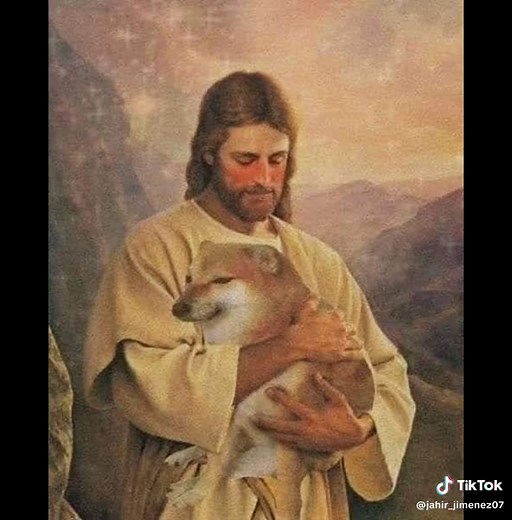 Chems será eterno: un homenaje al amado perro meme