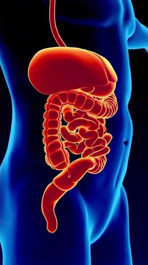 What does chloride do in the body?