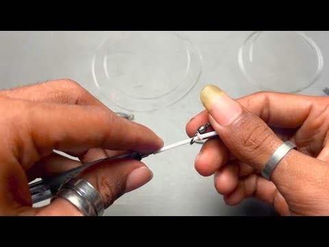 How to Tie a Dropper Rig – Strong and Easy Fishing Setup