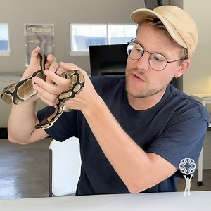 🐍 Slithering into Science with Children's Hospital at Erlanger and the Chattanooga Zoo Meet Linus and Lucian, our scaly stars in today's animal adventure! These beautiful ball pythons are here to help us learn and grow. Did you know? Lucian is leucistic, giving him a unique, lighter appearance! Ball pythons are gentle creatures, despite their reputation. Remember, if you see a snake in the wild: 1️⃣ Stay calm 2️⃣ Take two big steps back 3️⃣ Let it be! Watch our video to learn more about these a