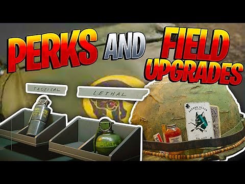 Black Ops Cold War: ALL MULTIPLAYER PERKS EXPLAINED!