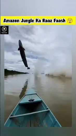 The Deadliest Torpedo Fish of Amazon #facts #ytshorts #shorts