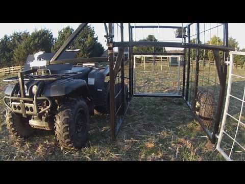 Calf Catcher - Safe Calf Handling System
