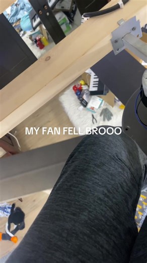 Ceiling Fan Incident: Help My Fan Fell!