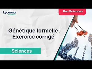 Bac Sciences expérimentales | SVT | Génétique formelle : exercice corrigé