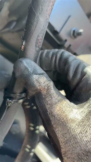 Blown steering box seals and hose