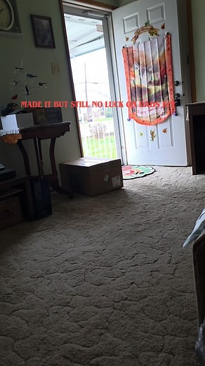 NO CAR DEALERSHIP WILL GIVE MY DAD A SECOND KEY MAKE THIS GO VIRAL. AUTO LAND IS STUPID | Matt Mclaughlin | Facebook