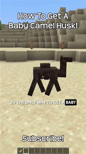How To Get A Baby Camel Husk In Minecraft?!