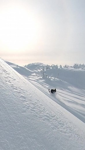 Check out my melody #sledtok #sled #motorsport #snowmobile #snowmobilevideos #sleddersoftiktok #braap #sledding #mountains #backcountry #snow #hillclimb #sledcanada #509inc #mountain