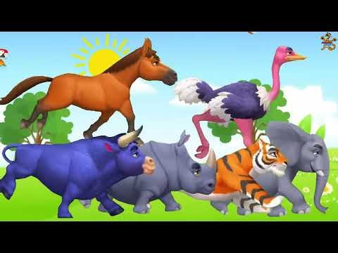 Zoo & Farm ABC Animal Sounds Song for Kids | Learn Animal Names and Sounds