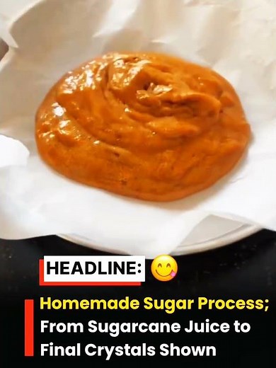 How Sugar Is Made From Scratch 😳🍯