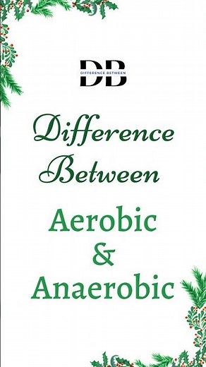Difference Between Aerobic and Anaerobic | Two Types of Exercise - Which Is Right for You?