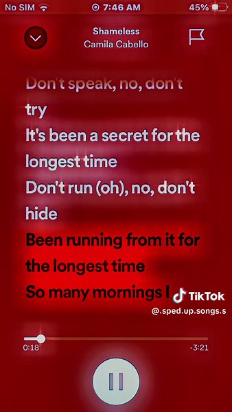 Shameless - Camila Cabello Full Song Experience